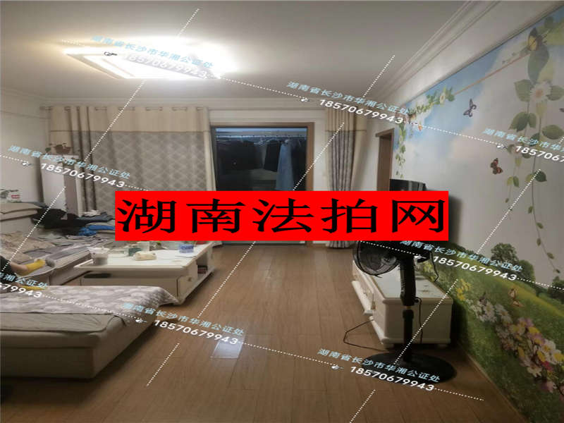 麓谷小镇（乐谷园）法拍房2栋1201号